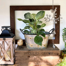 Load image into Gallery viewer, oval planter with handles and studded band