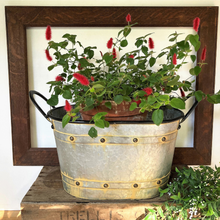 Load image into Gallery viewer, oval metal planter with handles