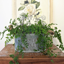 Load image into Gallery viewer, metal planter
