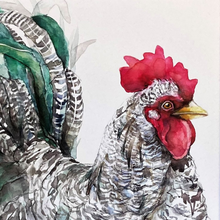 Load image into Gallery viewer, watercolour painting of a rooster Australian artist country style homewares