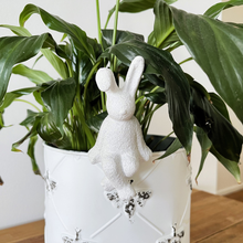 Load image into Gallery viewer, Ruby Rabbit Pot Sitter

