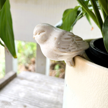 Load image into Gallery viewer, Bird Pot Hanger
