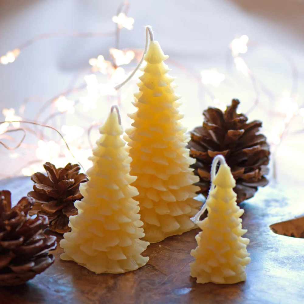 The Christmas Forest - set of 3 beeswax candles