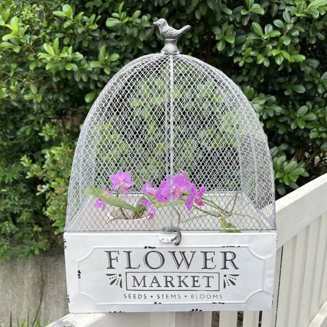 Flower Market Cloche