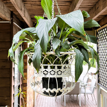 Load image into Gallery viewer, Antique White Hanging Basket
