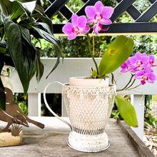 Load image into Gallery viewer, Teacup Planter
