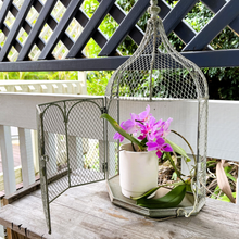 Load image into Gallery viewer, Nested Hanging Plant Cage
