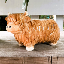 Load image into Gallery viewer, Highland Planter
