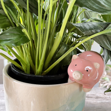 Load image into Gallery viewer, Pig Pot Hanger
