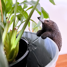 Load image into Gallery viewer, Echidna Pot Sitter
