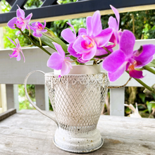 Load image into Gallery viewer, Teacup Planter
