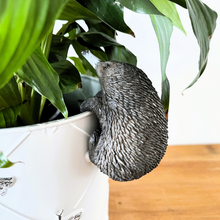 Load image into Gallery viewer, Echidna Pot Sitter
