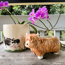 Load image into Gallery viewer, Highland Planter
