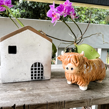 Load image into Gallery viewer, Highland Planter
