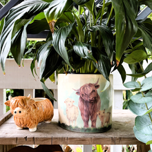 Load image into Gallery viewer, Highland &amp; Friends Planter
