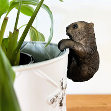 Load image into Gallery viewer, Wombat Pot Sitter

