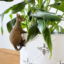 Load image into Gallery viewer, Kangaroo Pot Sitter
