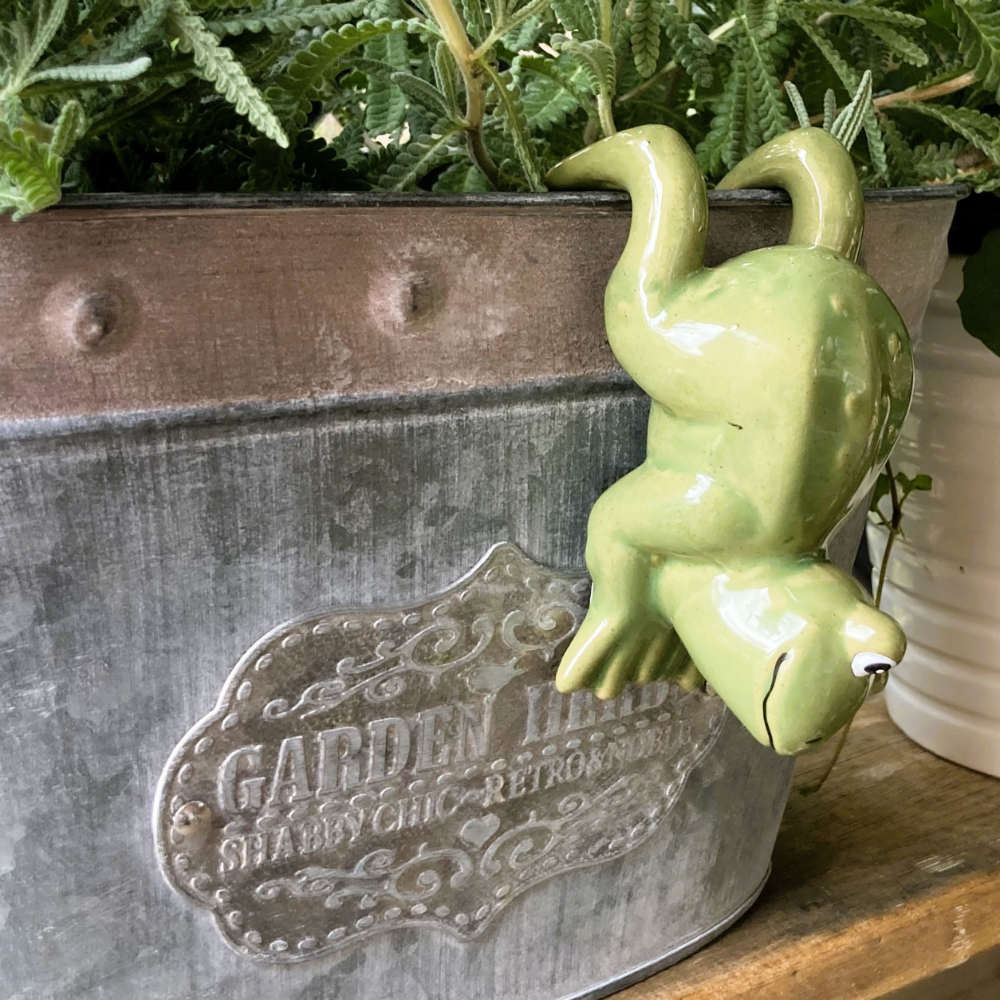 Green Frog Pot Sitter