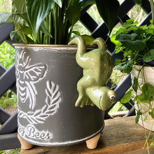 Load image into Gallery viewer, Green Frog Pot Sitter
