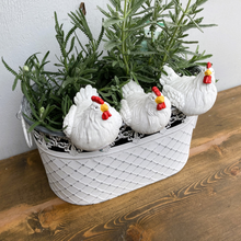 Load image into Gallery viewer, Chicken Pot Sitter - single (large)
