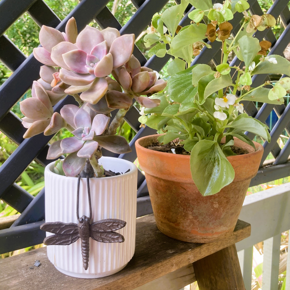 Dragonfly Pot Hanger