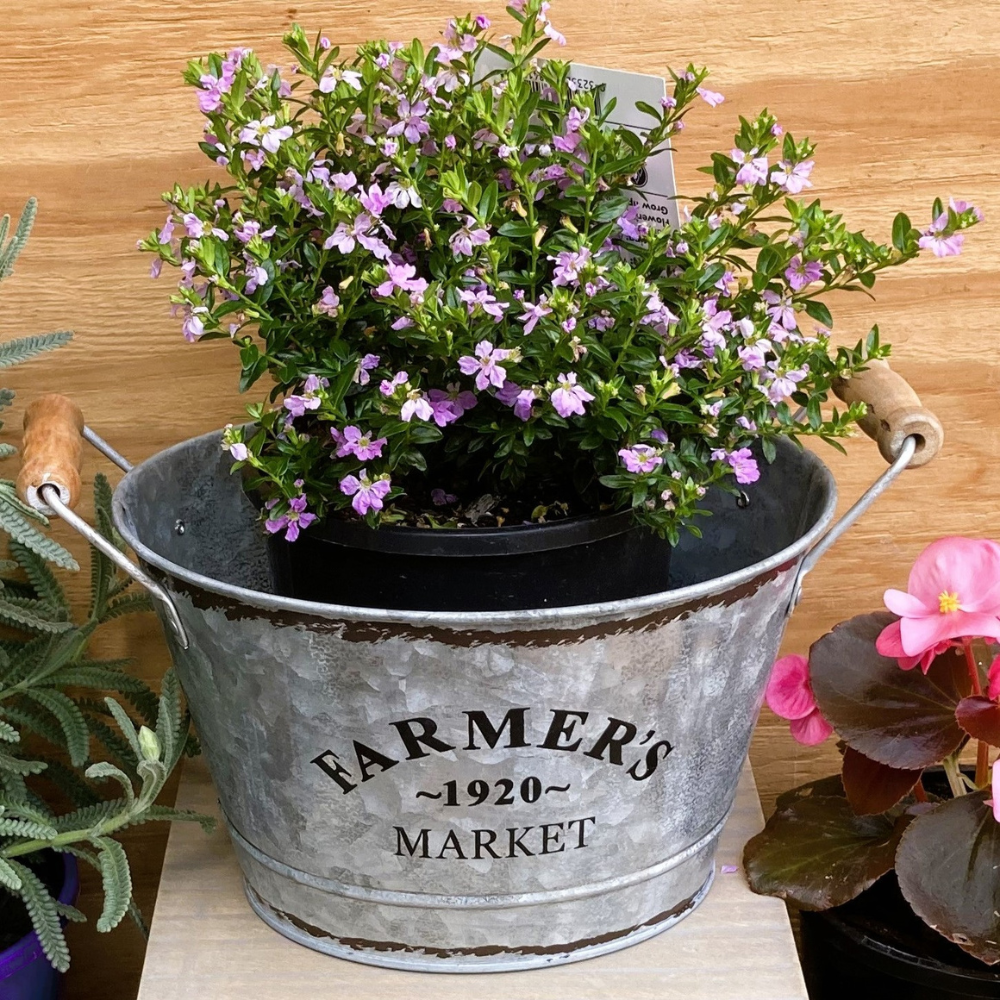 Farmers Market Planter