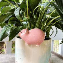 Load image into Gallery viewer, Pig Pot Hanger
