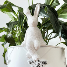 Load image into Gallery viewer, Ruby Rabbit Pot Sitter
