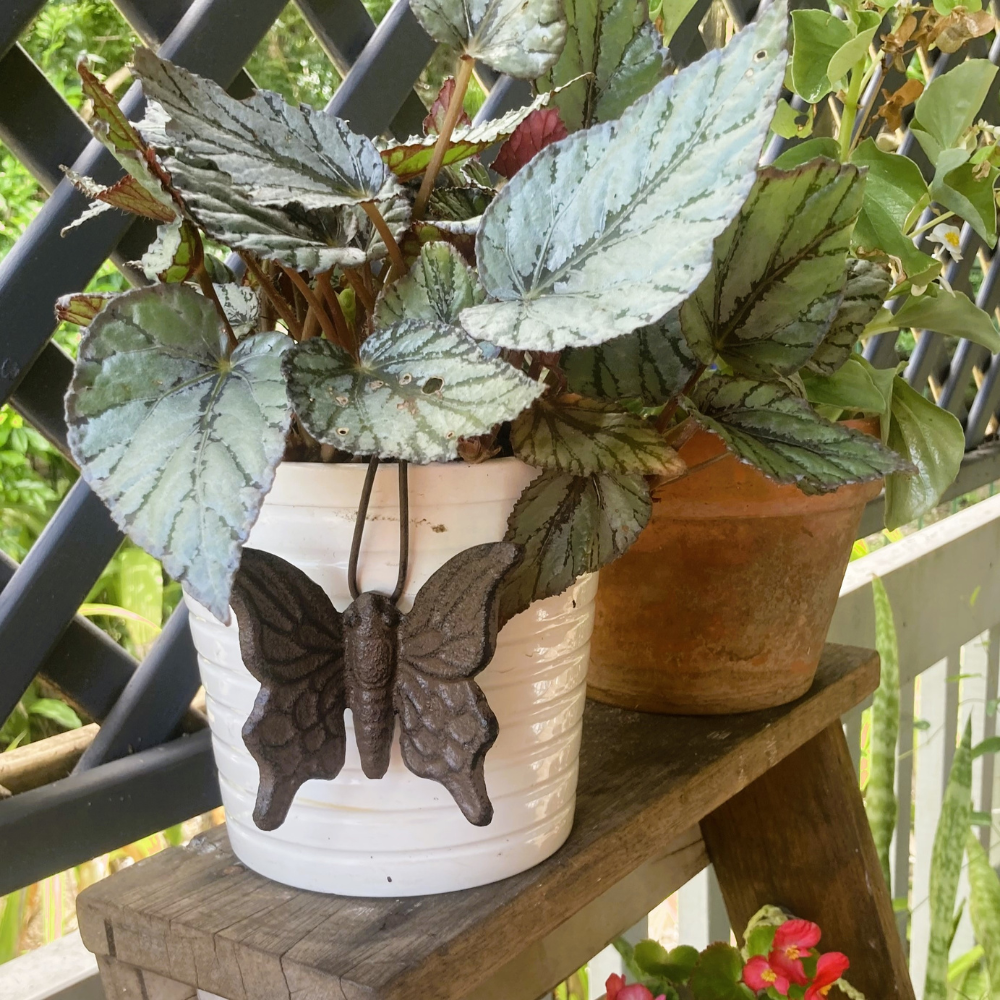 Butterfly Pot hanger