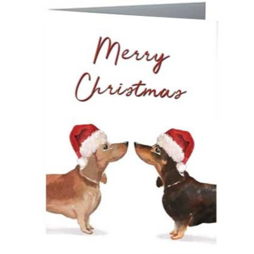 Sausage Dogs - Christmas Card