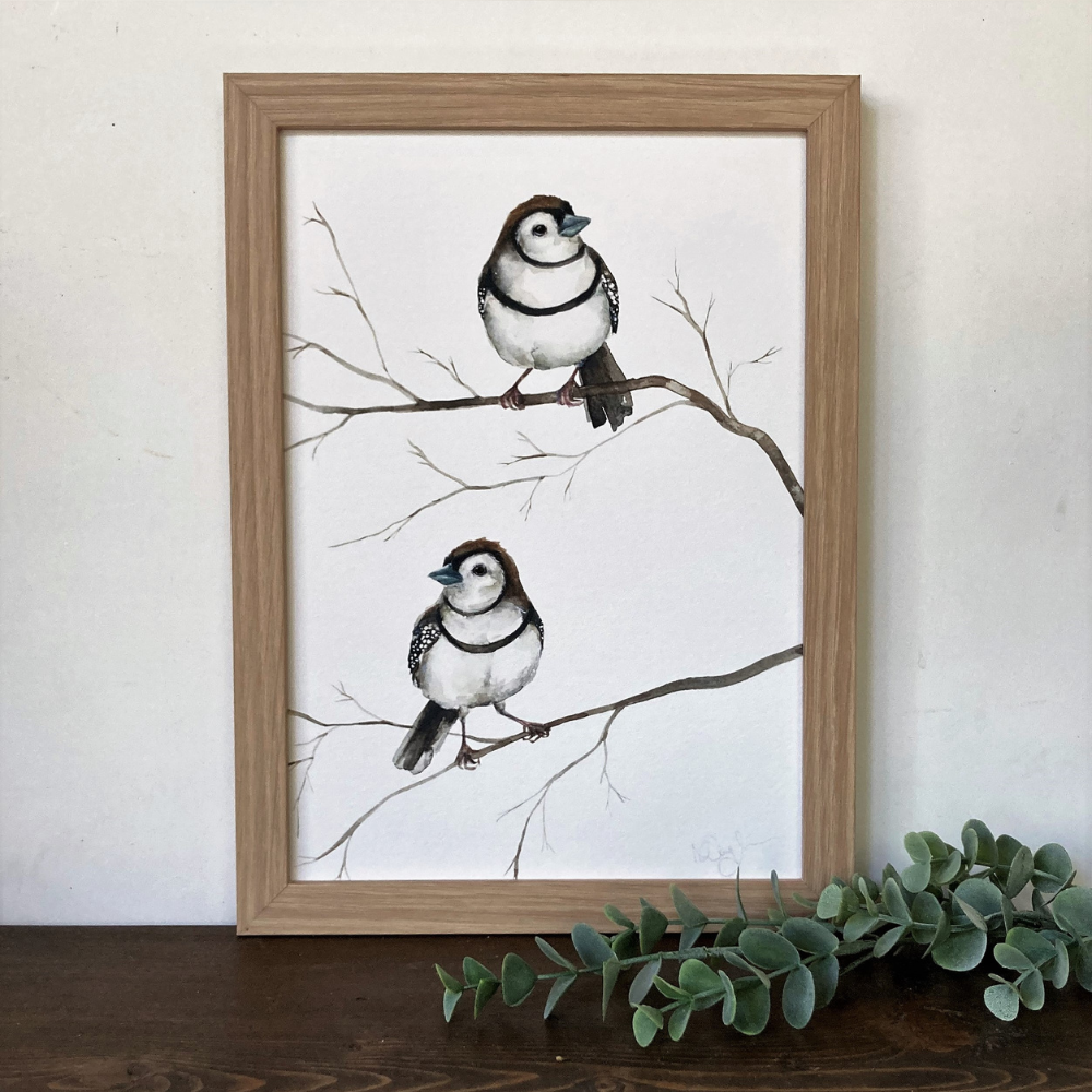 Australian art water colour painting of a finch