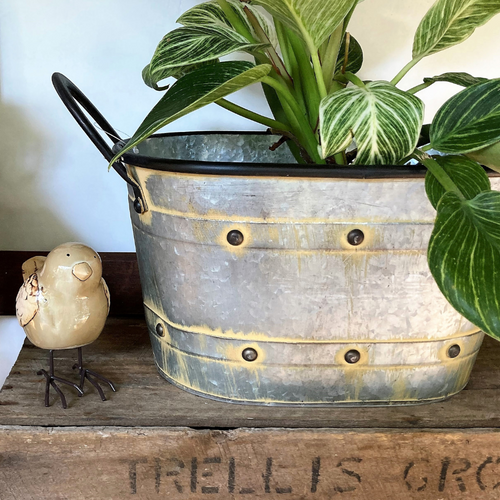oval metal plant tub with studs