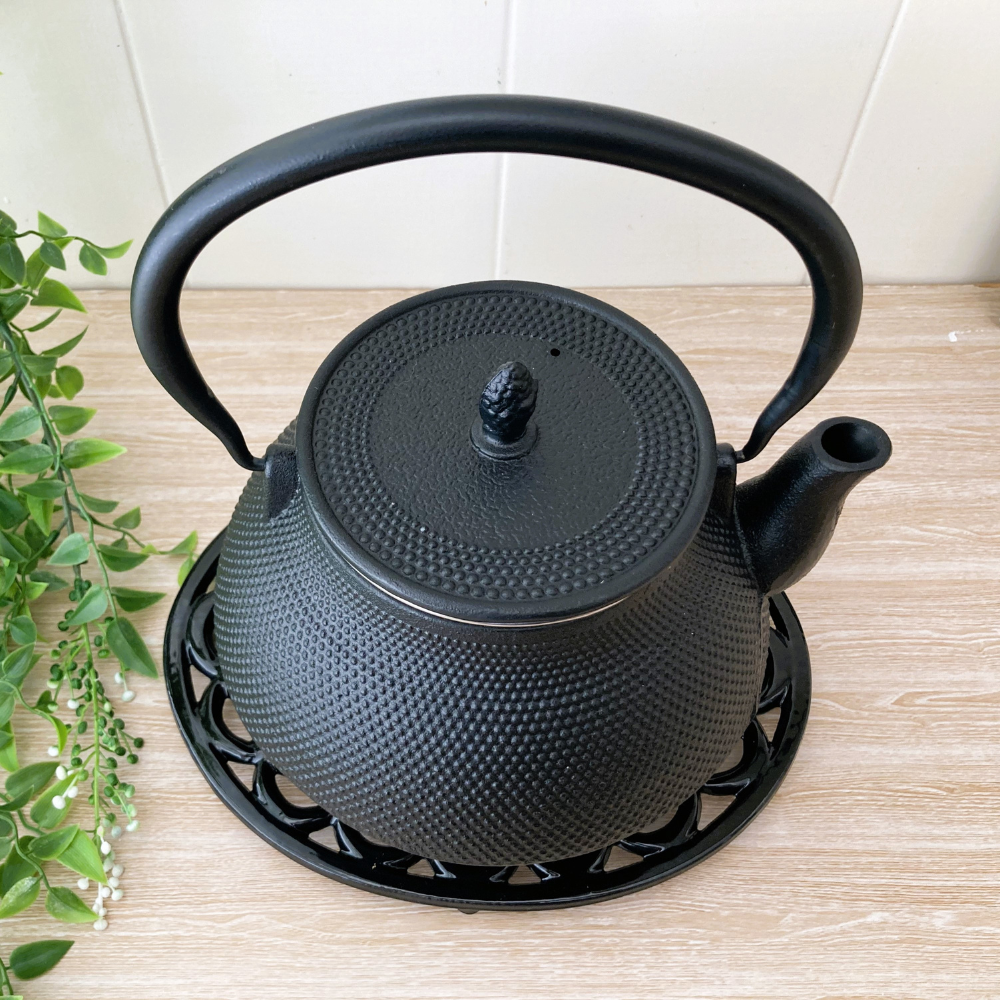 Cast Iron Enamelled Kettle Evelyn and Owl