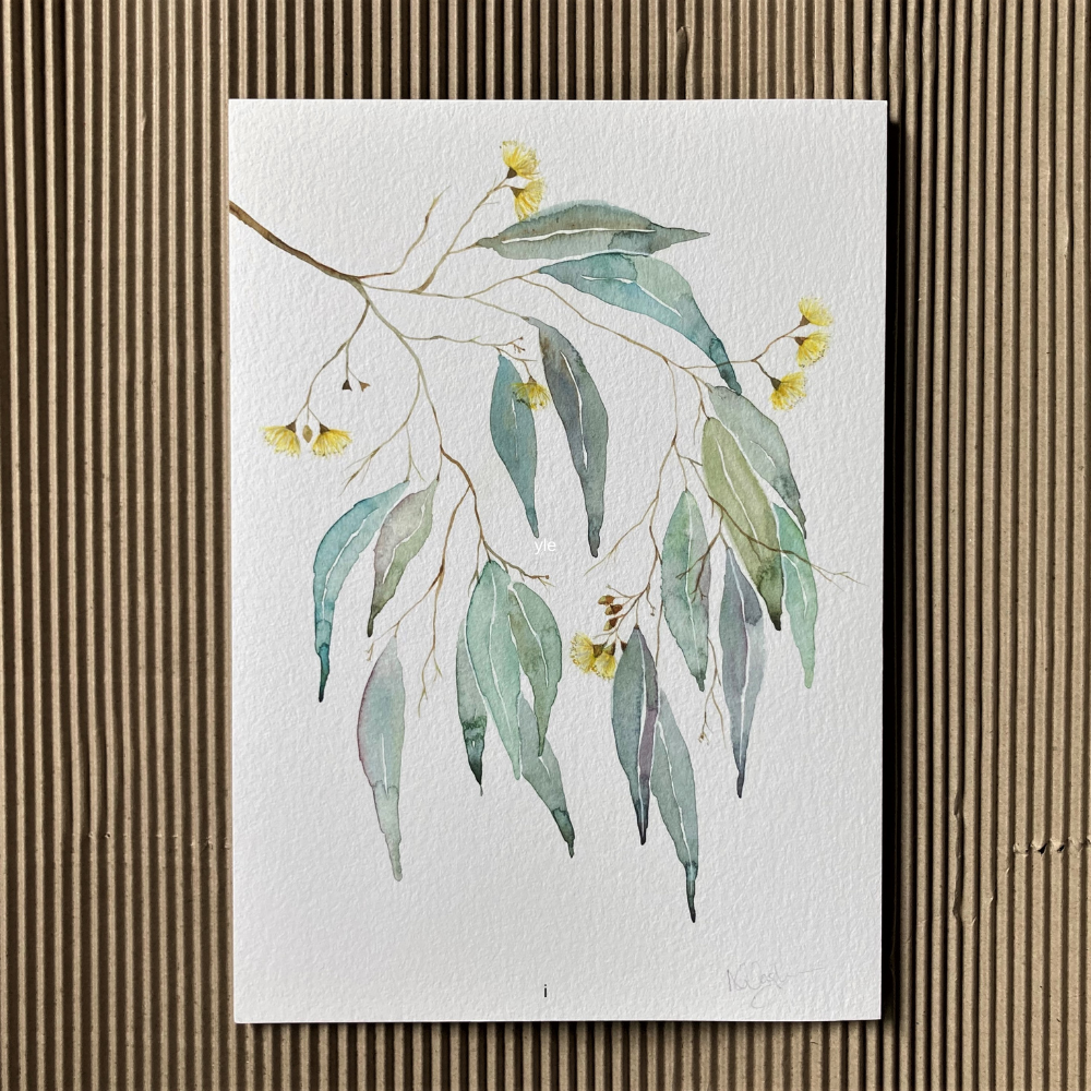Summer Bloom II