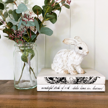 Load image into Gallery viewer, Balfour Rabbit
